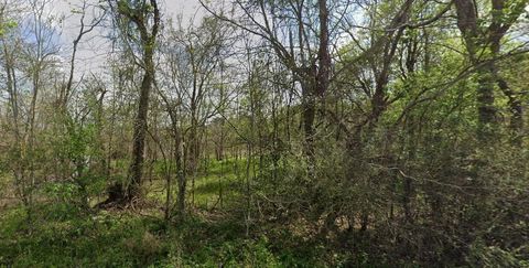 Photo of 831 Drews Landing Rd Rd, Goodrich, TX 77335 (MLS # 96374902)