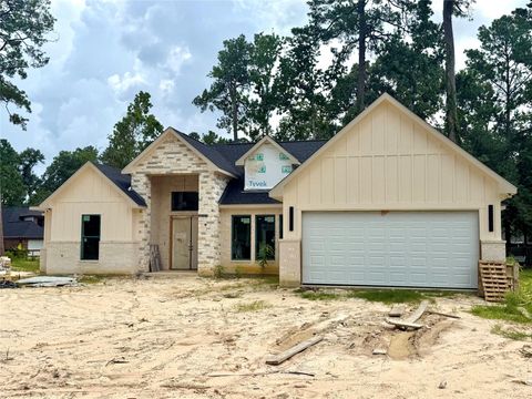 2723 Michaelangelo Street New Caney TX 77357