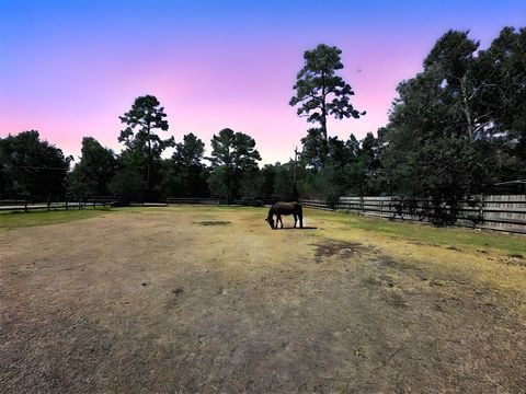 3850 Acorn Lane Kingwood TX 77365