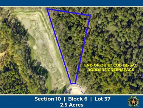 Vacant Land For Sale - 11707 Wishing Star Court<br/> Willis, TX 77378