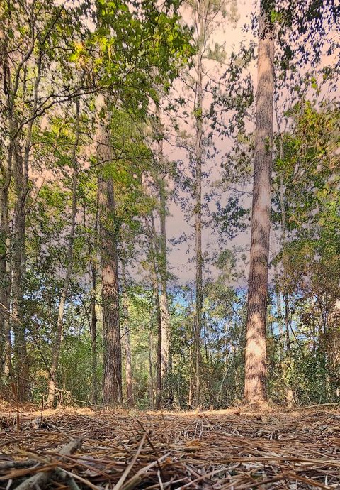 Photo of 11 Gregory Lane, New Waverly, TX 77358 (MLS # 56048282)