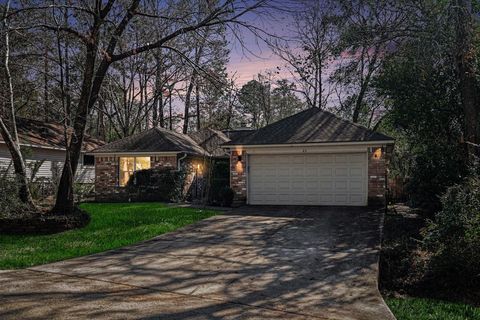 23 S Tallowberry Drive The Woodlands TX 77381
