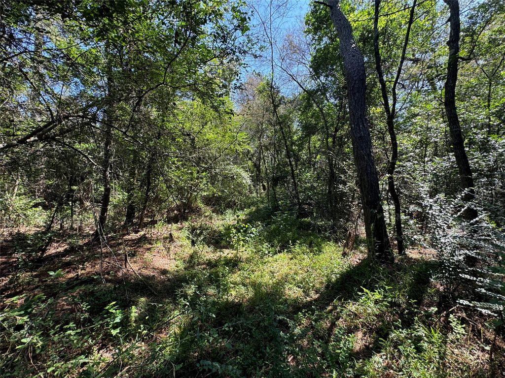 Photo of 7795 Assessor&#39;s Parcel Number 7795-00-10300, New Caney, TX 77357 (MLS # 21709678)