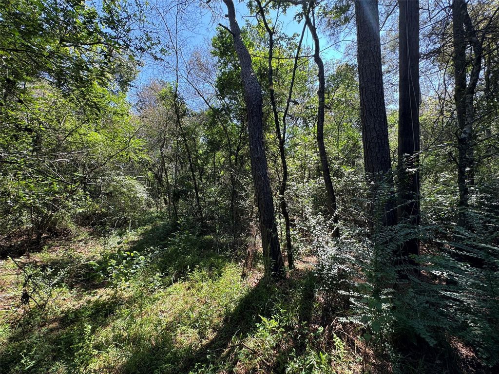 Photo of 7795 Assessor&#39;s Parcel Number 7795-00-10300, New Caney, TX 77357 (MLS # 21709678)