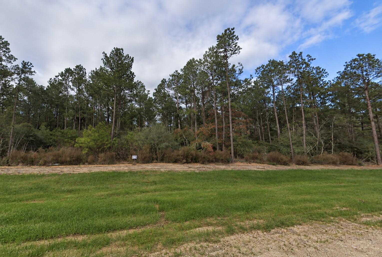 15729 Forest Grove Drive