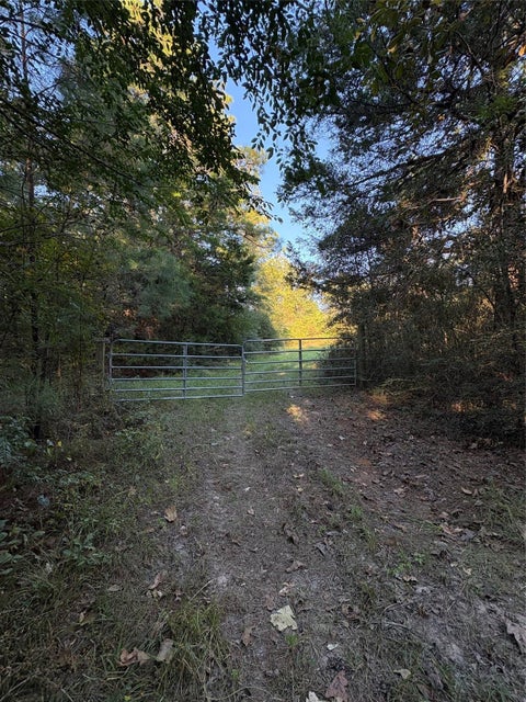 Photo of TBD Menard Chapel Road, Livingston, TX 77351 (MLS # 86073882)