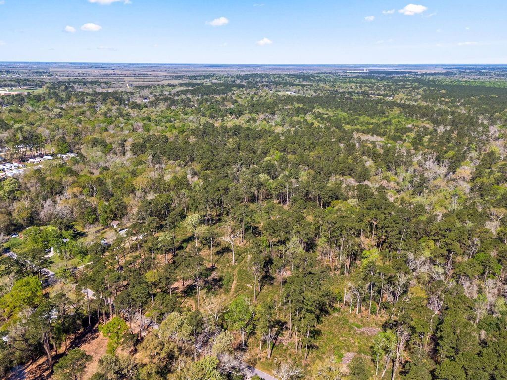 Photo of 0 Jamison Street, Dayton, TX 77535 (MLS # 88808176)