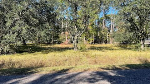 Homes For Sale - 0 NW Boxwood At Britt Corner W<br/> Brookside Village, TX 77581