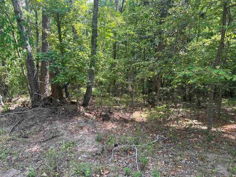 Photo of 57 Shank Drive, Brookeland, TX 75931 (MLS # 29943777)