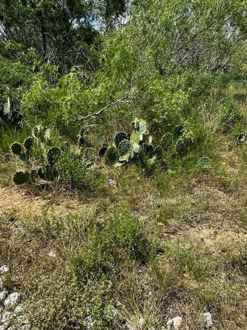 Photo of 1 County Road 420, Waelder, TX 78959 (MLS # 40249706)