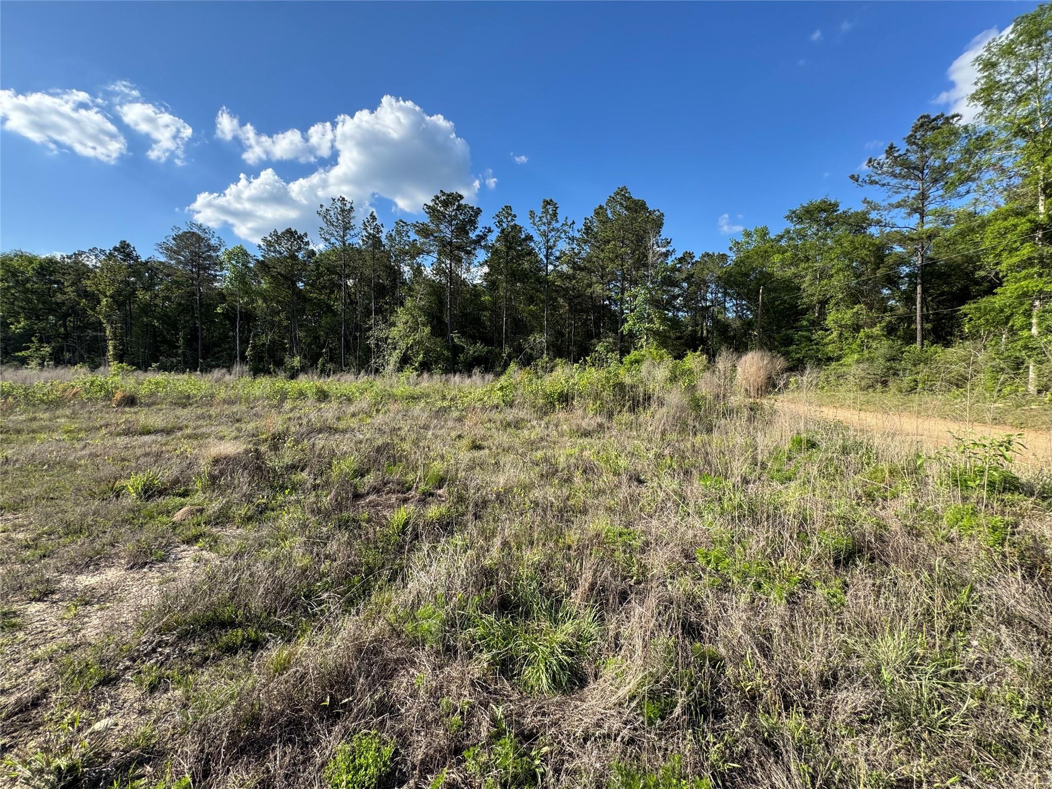 2600 County Road 4800