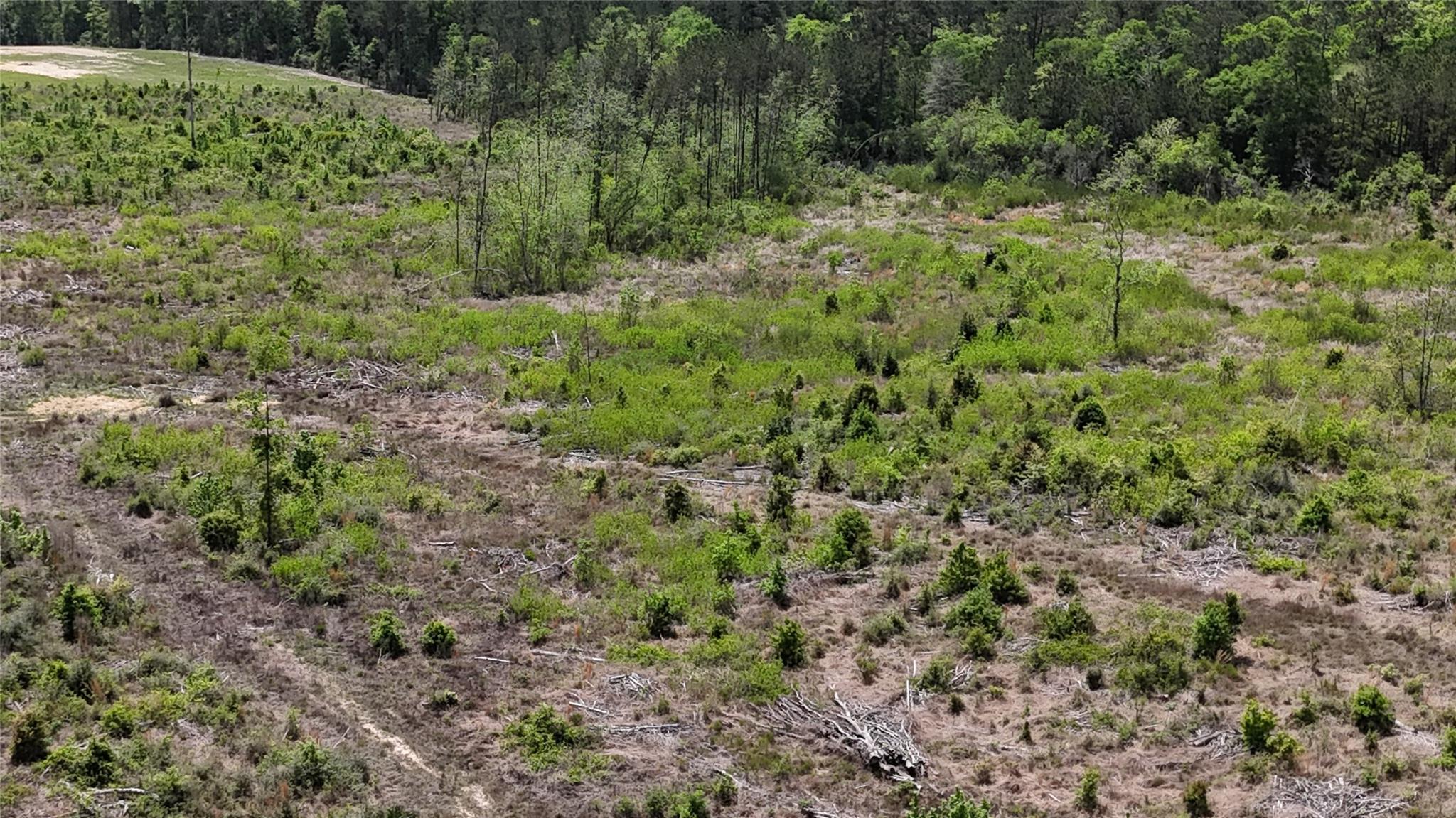 2600 County Road 4800