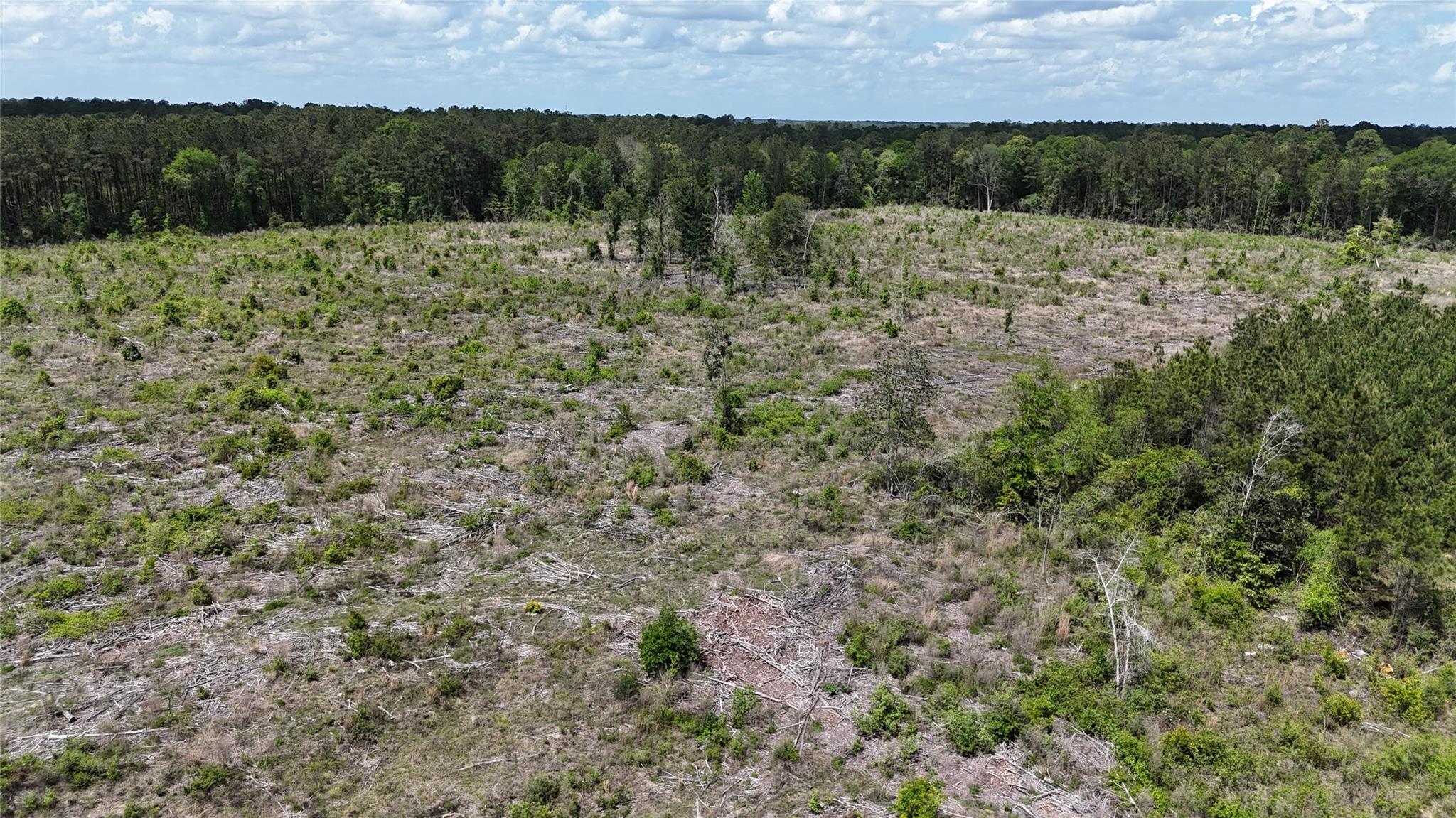 2600 County Road 4800