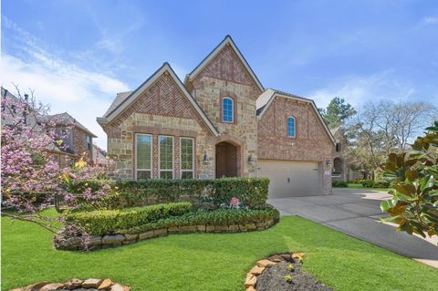95 Lindenberry Circle The Woodlands TX 77389