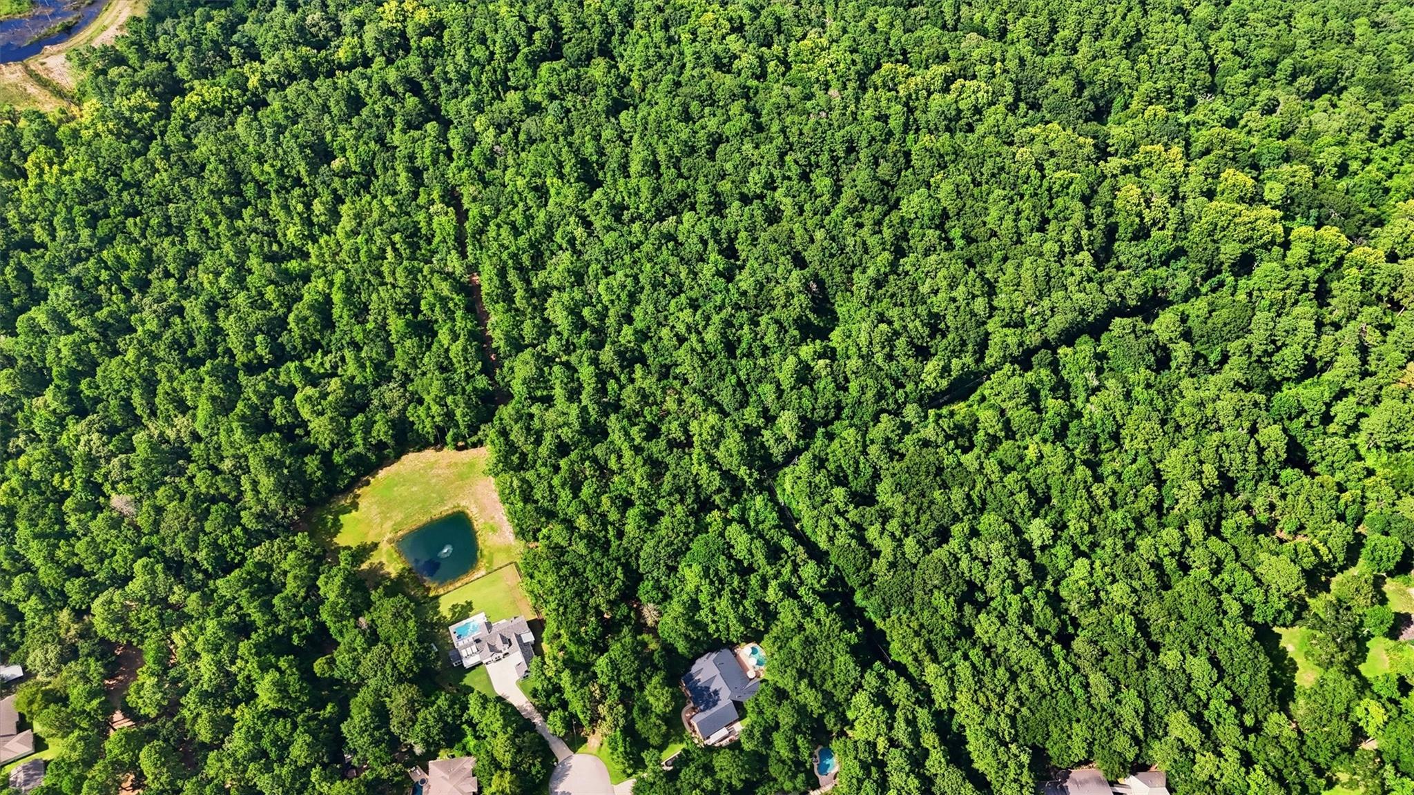 27126 Bearclaw Court
