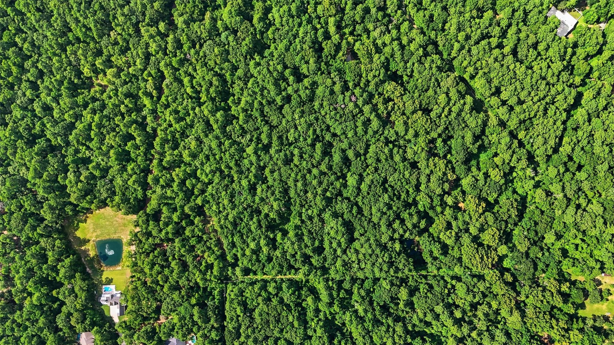 27126 Bearclaw Court