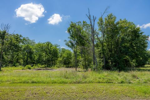 Photo of 10649 Atakapan Trail, Bedias, TX 77831 (MLS # 12541247)