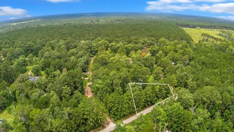 Photo of TBD Lakeview Circle, Ivanhoe, TX 75979 (MLS # 85389486)