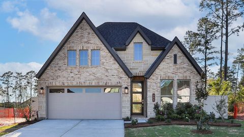 Photo of 306 Prairie Warbler Street, Magnolia, TX 77354 (MLS # 55179629)