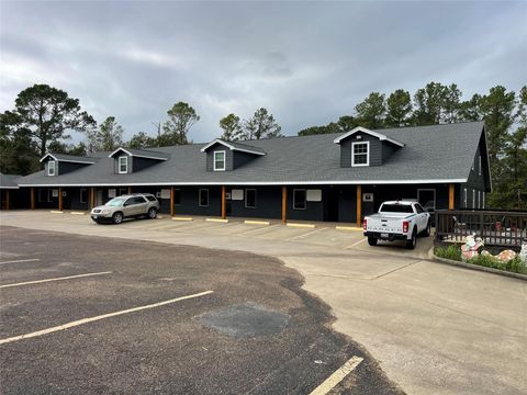 Photo of 340 Pan American Drive #C1, Livingston, TX 77351 (MLS # 62105192)