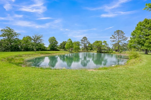 Tiny photo for 251 Petty Road, Waller, TX 77484 (MLS # 75846573)