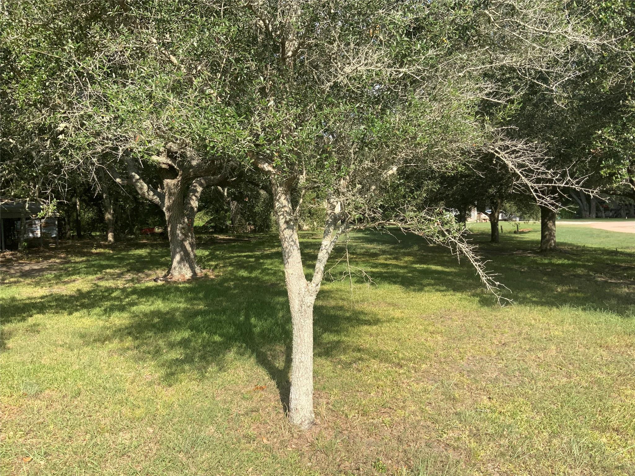 Lot 1487&1488 Oak Street