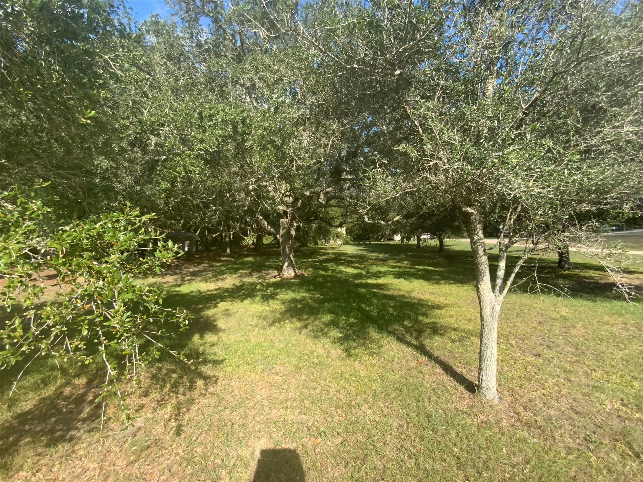 Lot 1487&1488 Oak Street