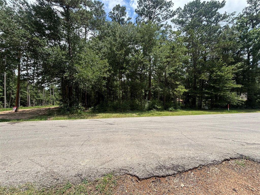Photo of 0 Roman Forest Blvd BLVD, New Caney, TX 77537 (MLS # 21791001)