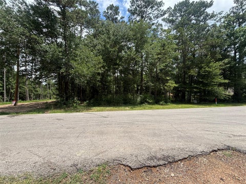 Vacant Land For Sale - 0000 Roman Forest Blvd Blvd<br/> New Caney, TX 77537