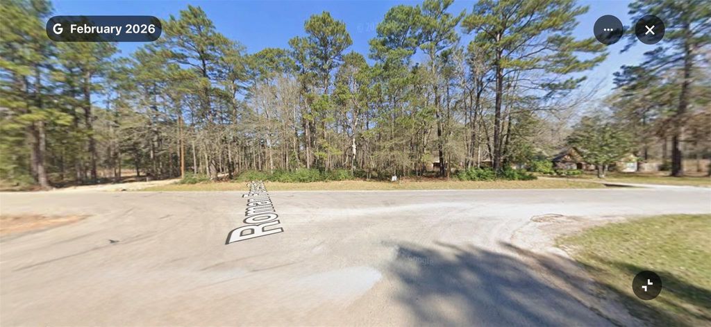 Photo of 0 Roman Forest Blvd BLVD, New Caney, TX 77537 (MLS # 21791001)