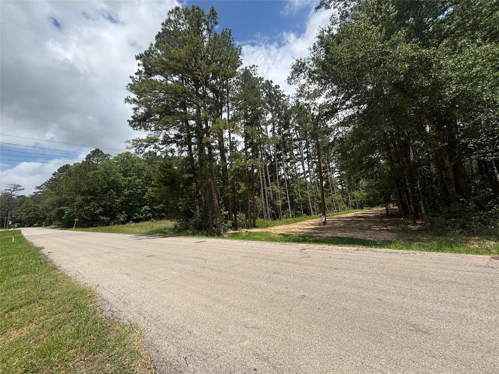 Photo of 0 Roman Forest Blvd BLVD, New Caney, TX 77537 (MLS # 21791001)