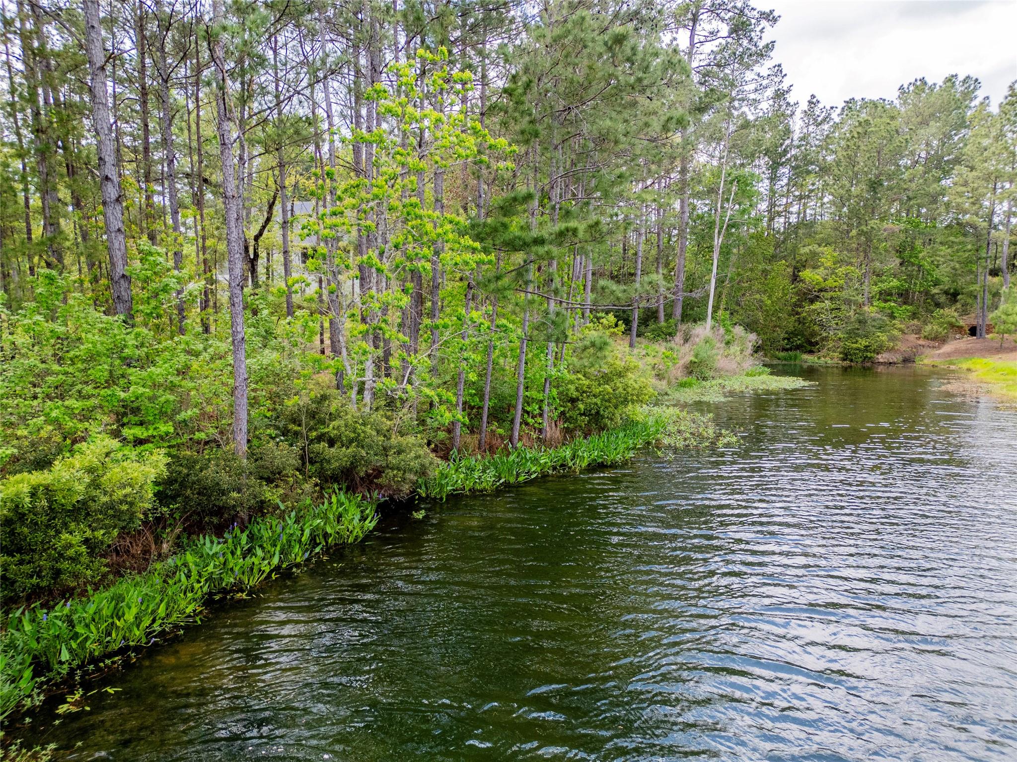 4473 Holly Trail Road