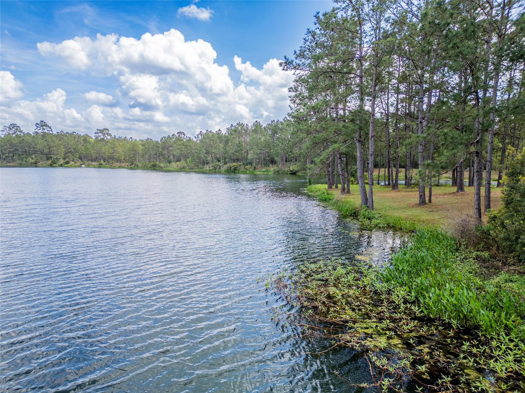 4473 Holly Trail Road