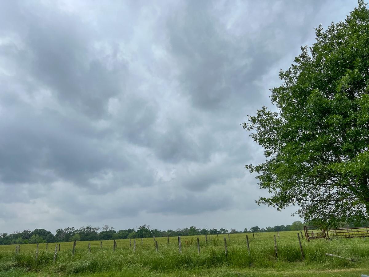 T-20 County Road 3630