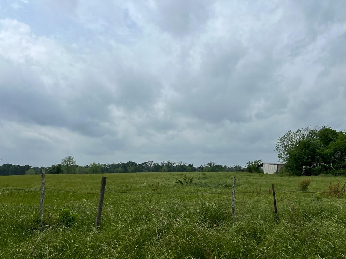 T-20 County Road 3630