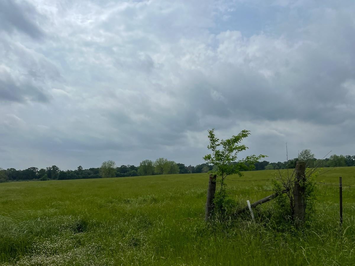 T-20 County Road 3630