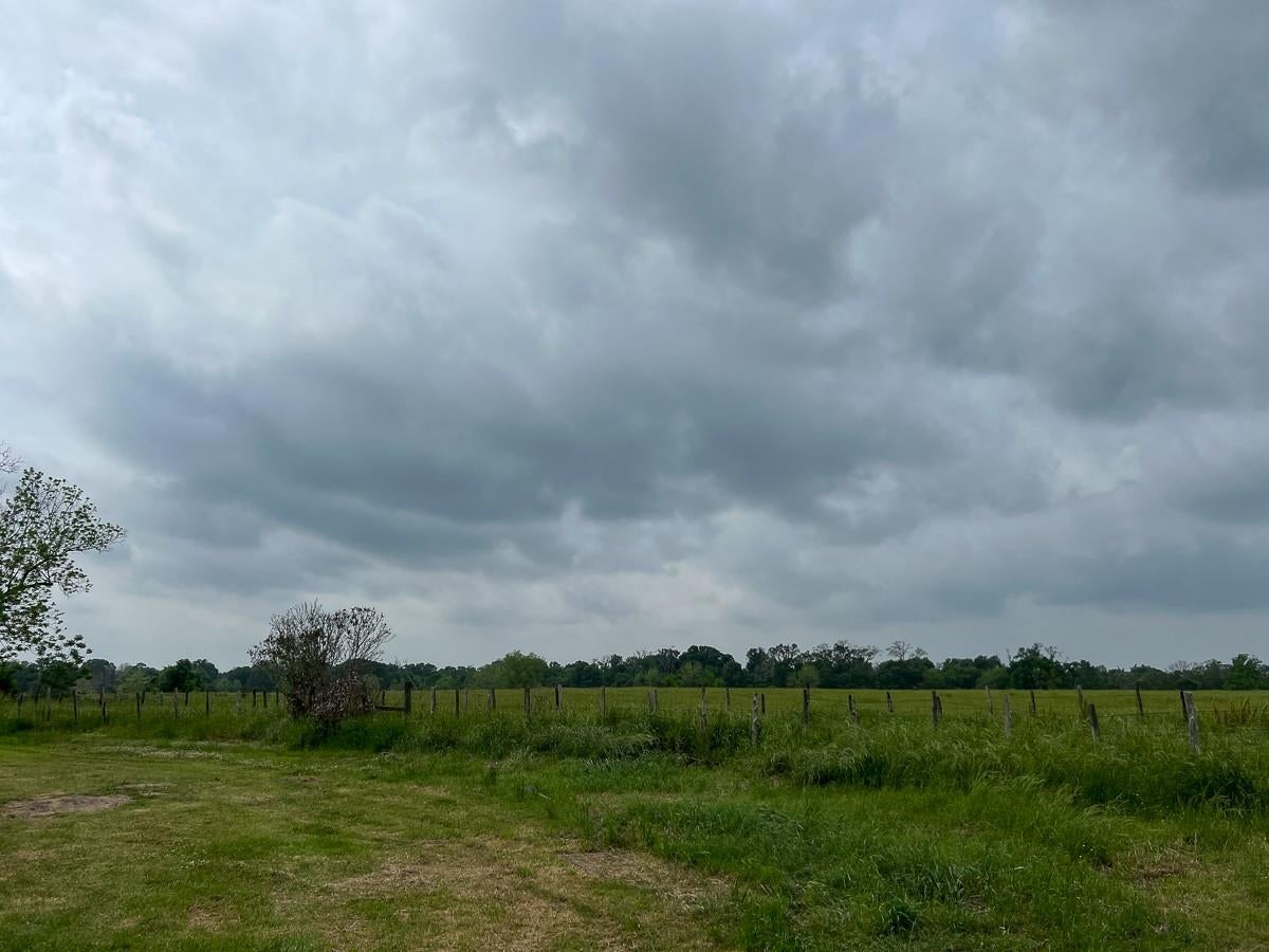 T-20 County Road 3630