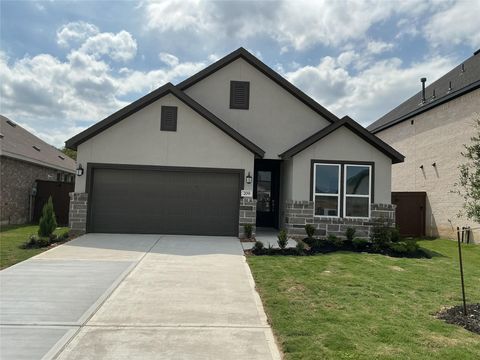 Homes For Sale - 209 Yellow Rosewood Lane<br/> New Caney, TX 77357