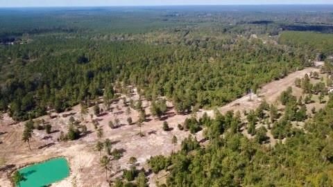 Photo of 17224 Fm 943, Livingston, TX 77351 (MLS # 97454364)