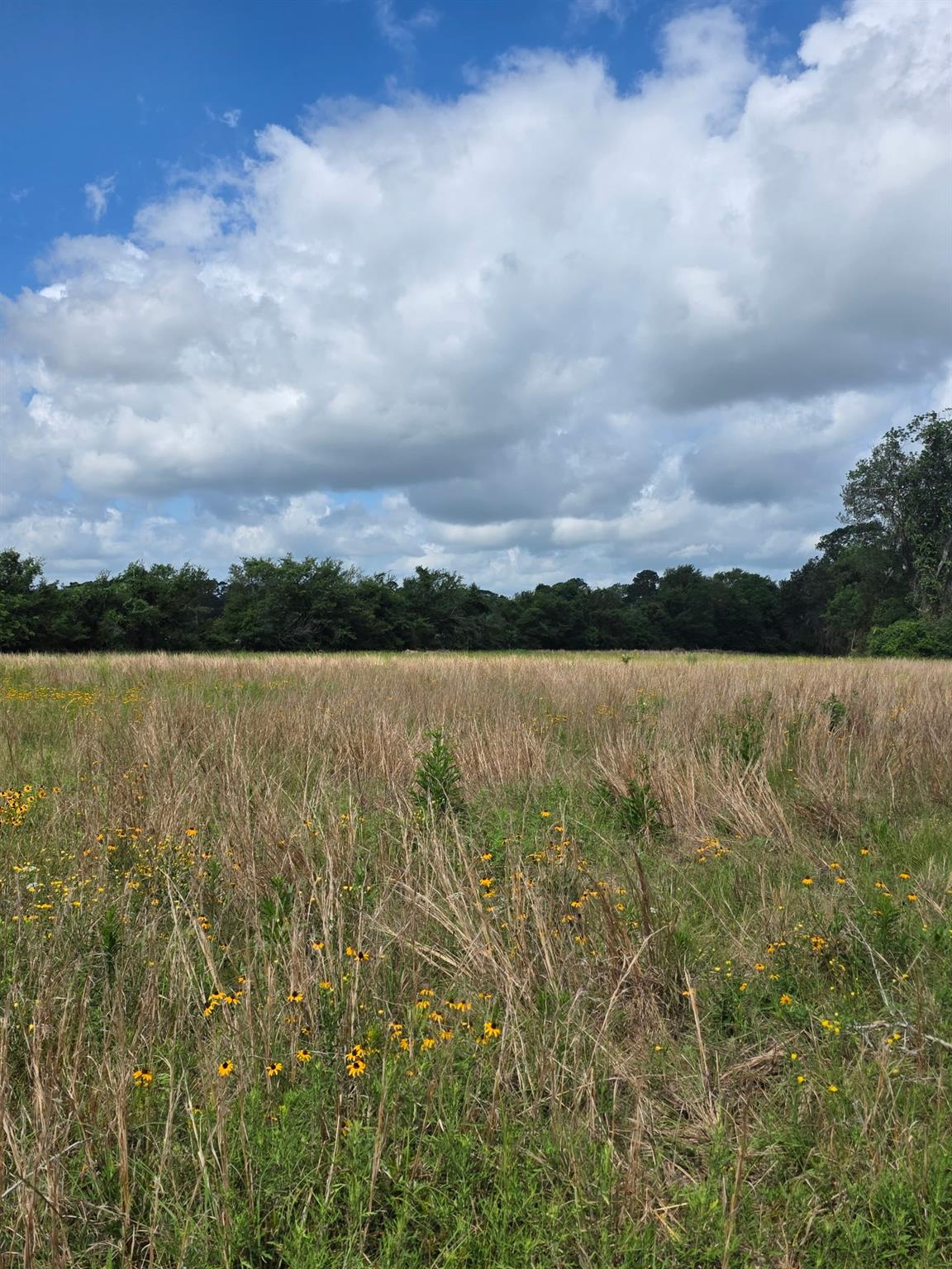 TBD LOT 15 County Road 201