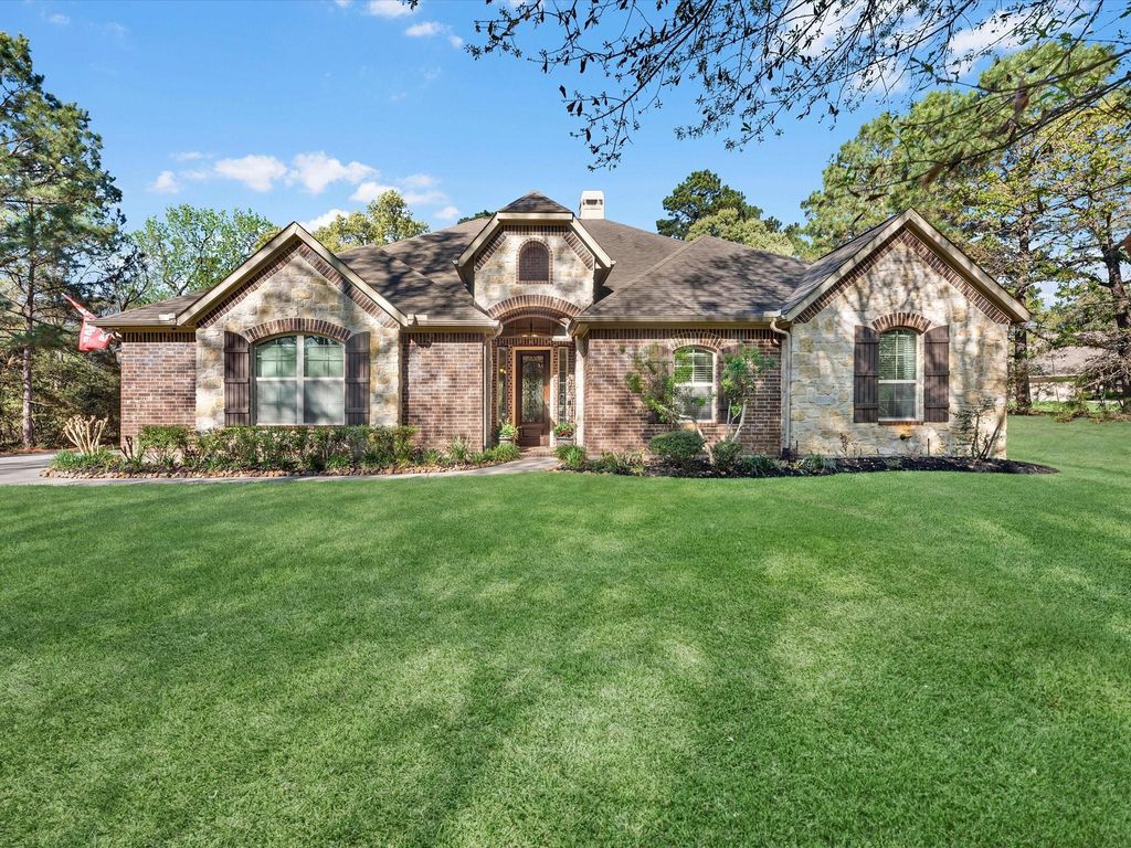 Photo of 358 Meadowview Court, Montgomery, TX 77316 (MLS # 37314231)