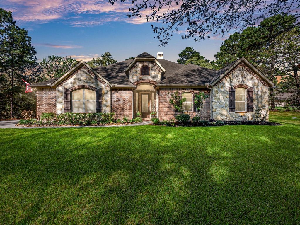 Photo of 358 Meadowview Court, Montgomery, TX 77316 (MLS # 37314231)