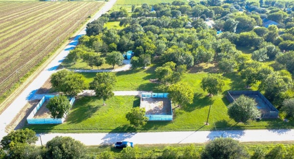 9002 GRUNWALD RD, BEASLEY, TX 77417 - Image 8c5cf204ff4cf2d8c5e8d7c526f5d4a0/3298034991