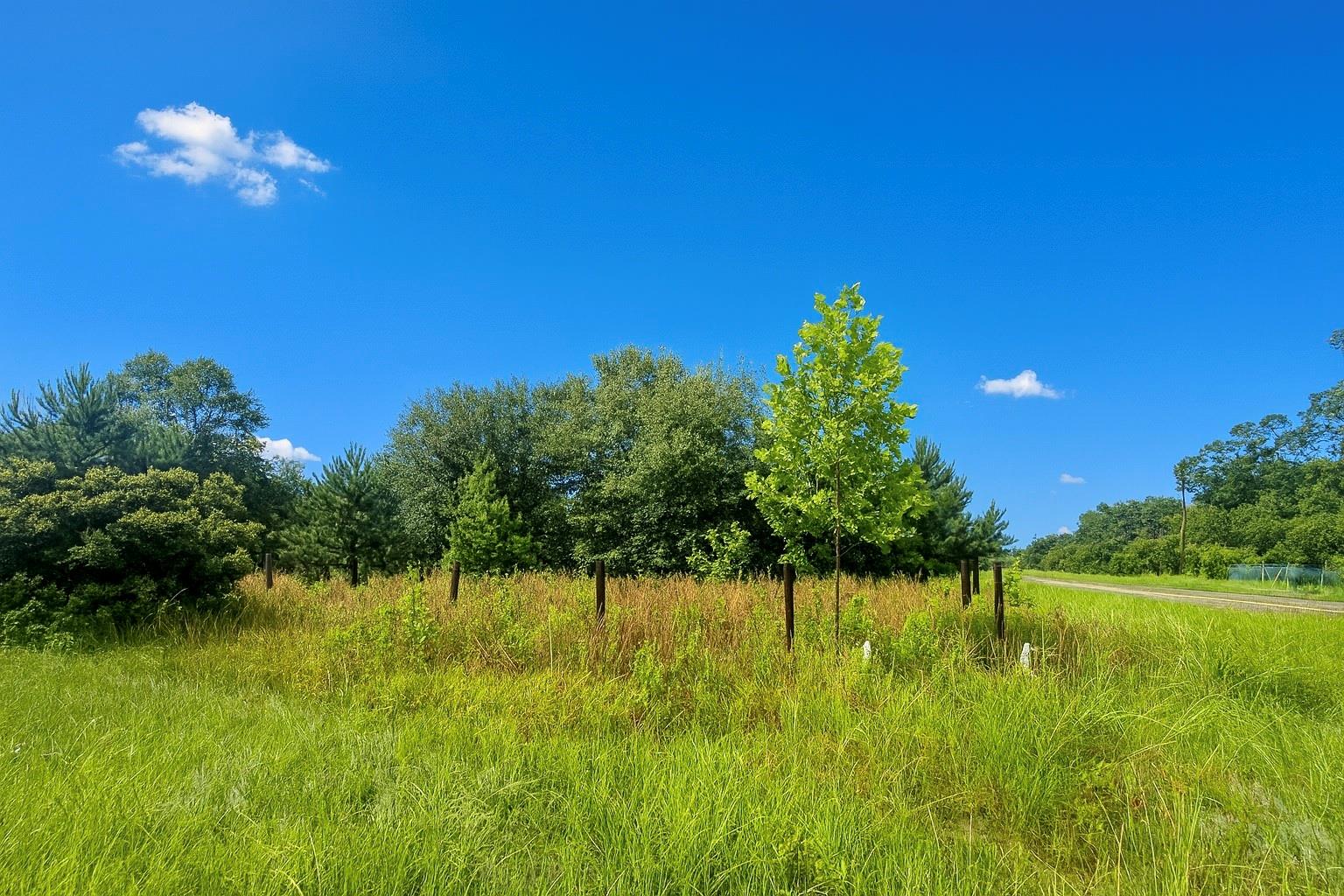 523 Country Rd 3406