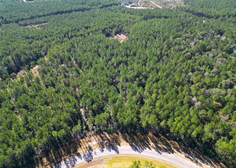 16235 Golden Wood Court Willis TX 77378