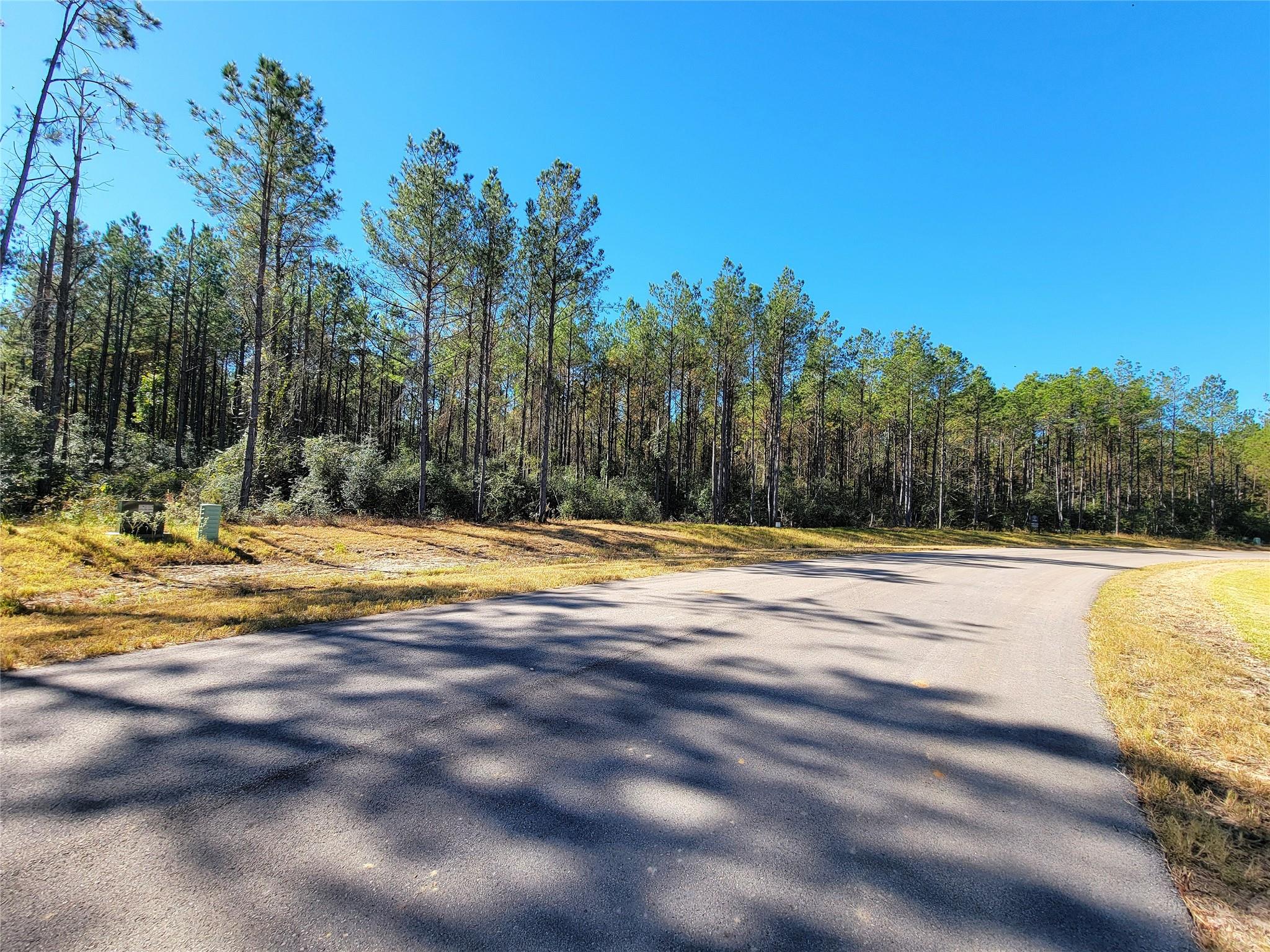 16235 Golden Wood Court