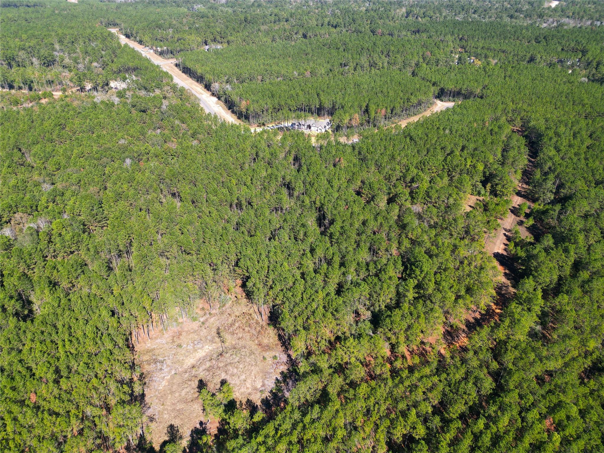 16235 Golden Wood Court