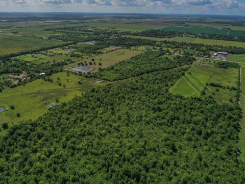 Tiny photo for 6 Fm 1462, Rosharon, TX 77583 (MLS # 23012428)