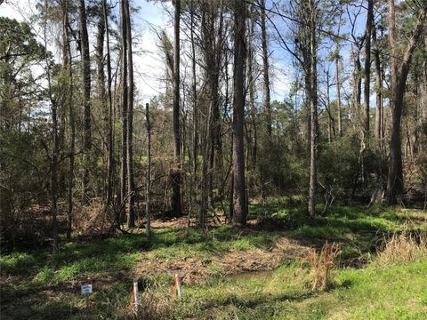 Photo of 580 Parkview Drive, Onalaska, TX 77360 (MLS # 98658093)