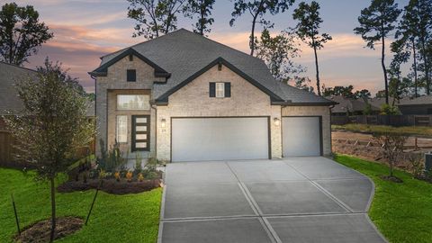275 Mallards Rim Drive Willis TX 77318